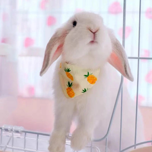Adjustable Rabbit Collar – Bunny Bib Triangle Scarf and Cute Pet Dressing Accessory, Fashion Photo Prop and Decorative Outfit