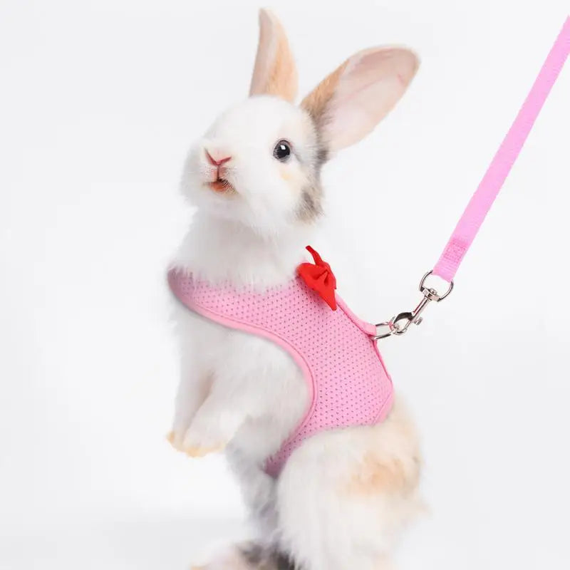 Bunny Harness and Leash Set – Soft Mesh Vest Harness for Small Animals and Holland Lop Rabbits