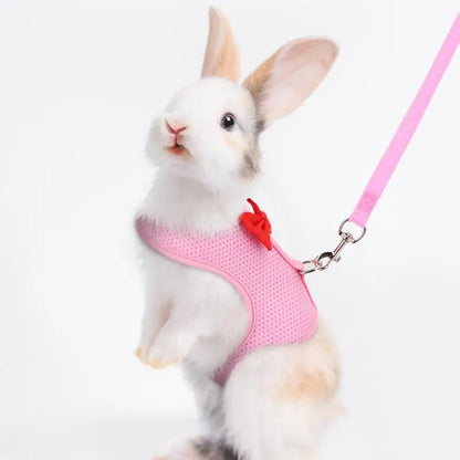 Bunny Harness and Leash Set – Soft Mesh Vest Harness for Small Animals and Holland Lop Rabbits