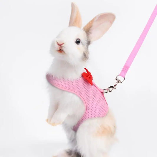 Bunny Harness and Leash Set – Soft Mesh Vest Harness for Small Animals and Holland Lop Rabbits