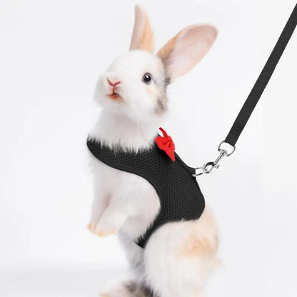 Bunny Harness and Leash Set – Soft Mesh Vest Harness for Small Animals and Holland Lop Rabbits