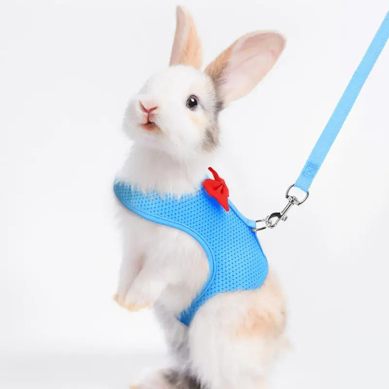 Bunny Harness and Leash Set – Soft Mesh Vest Harness for Small Animals and Holland Lop Rabbits
